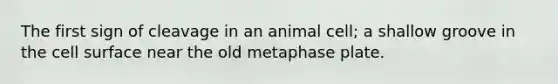 The first sign of cleavage in an animal cell; a shallow groove in the cell surface near the old metaphase plate.