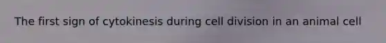 The first sign of cytokinesis during cell division in an animal cell
