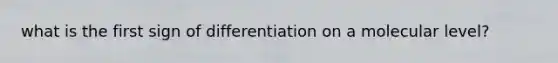 what is the first sign of differentiation on a molecular level?