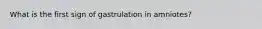 What is the first sign of gastrulation in amniotes?