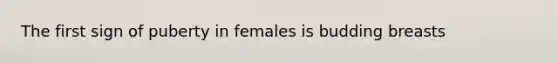 The first sign of puberty in females is budding breasts