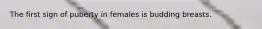 The first sign of puberty in females is budding breasts.