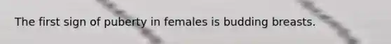 The first sign of puberty in females is budding breasts.