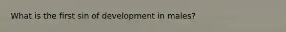 What is the first sin of development in males?