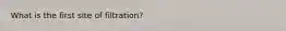 What is the first site of filtration?