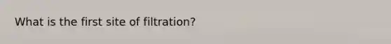 What is the first site of filtration?