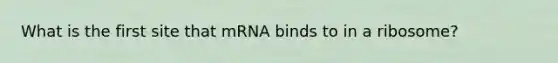 What is the first site that mRNA binds to in a ribosome?