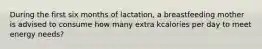 During the first six months of lactation, a breastfeeding mother is advised to consume how many extra kcalories per day to meet energy needs?