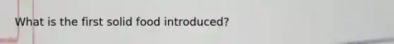 What is the first solid food introduced?
