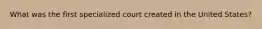 What was the first specialized court created in the United States?