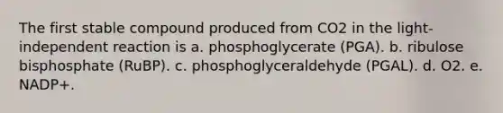 The first stable compound produced from CO2 in the light-independent reaction is a. phosphoglycerate (PGA). b. ribulose bisphosphate (RuBP). c. phosphoglyceraldehyde (PGAL). d. O2. e. NADP+.