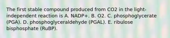 The first stable compound produced from CO2 in the light-independent reaction is A. NADP+. B. O2. C. phosphoglycerate (PGA). D. phosphoglyceraldehyde (PGAL). E. ribulose bisphosphate (RuBP).