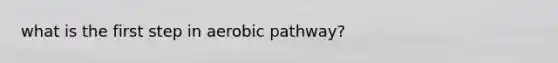 what is the first step in aerobic pathway?