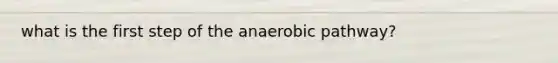 what is the first step of the anaerobic pathway?