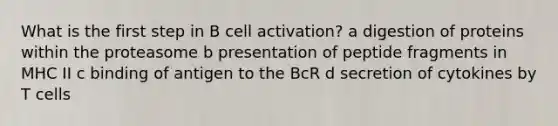 What is the first step in B cell activation? a digestion of proteins within the proteasome b presentation of peptide fragments in MHC II c binding of antigen to the BcR d secretion of cytokines by T cells