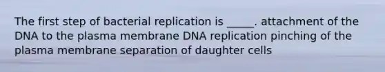 The first step of bacterial replication is _____. attachment of the DNA to the plasma membrane <a href='https://www.questionai.com/knowledge/kofV2VQU2J-dna-replication' class='anchor-knowledge'>dna replication</a> pinching of the plasma membrane separation of daughter cells