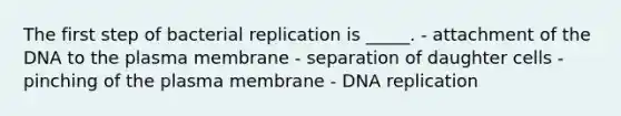 The first step of bacterial replication is _____. - attachment of the DNA to the plasma membrane - separation of daughter cells - pinching of the plasma membrane - DNA replication