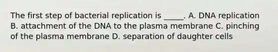 The first step of bacterial replication is _____. A. DNA replication B. attachment of the DNA to the plasma membrane C. pinching of the plasma membrane D. separation of daughter cells