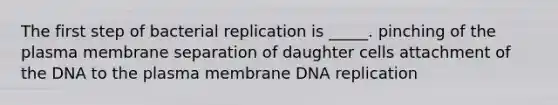 The first step of bacterial replication is _____. pinching of the plasma membrane separation of daughter cells attachment of the DNA to the plasma membrane DNA replication