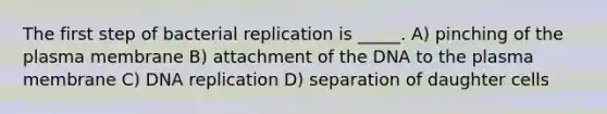 The first step of bacterial replication is _____. A) pinching of the plasma membrane B) attachment of the DNA to the plasma membrane C) DNA replication D) separation of daughter cells