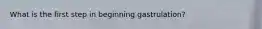 What is the first step in beginning gastrulation?