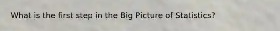 What is the first step in the Big Picture of Statistics?