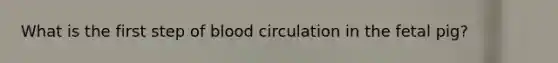 What is the first step of blood circulation in the fetal pig?