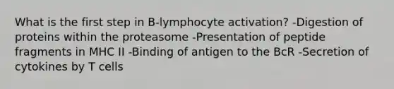 What is the first step in B-lymphocyte activation? -Digestion of proteins within the proteasome -Presentation of peptide fragments in MHC II -Binding of antigen to the BcR -Secretion of cytokines by T cells