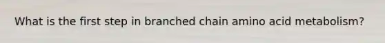 What is the first step in branched chain amino acid metabolism?