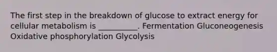 The first step in the breakdown of glucose to extract energy for cellular metabolism is __________. Fermentation Gluconeogenesis Oxidative phosphorylation Glycolysis