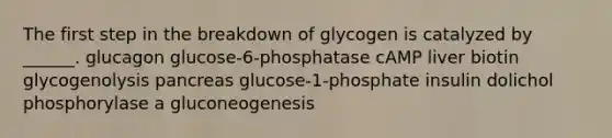 The first step in the breakdown of glycogen is catalyzed by ______. glucagon glucose-6-phosphatase cAMP liver biotin glycogenolysis pancreas glucose-1-phosphate insulin dolichol phosphorylase a gluconeogenesis