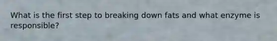 What is the first step to breaking down fats and what enzyme is responsible?