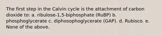 The first step in the Calvin cycle is the attachment of carbon dioxide to: a. ribulose-1,5-biphosphate (RuBP) b. phosphoglycerate c. diphosophoglycerate (GAP). d. Rubisco. e. None of the above.