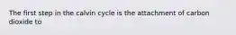 The first step in the calvin cycle is the attachment of carbon dioxide to