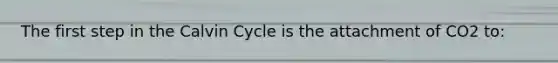 The first step in the Calvin Cycle is the attachment of CO2 to: