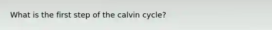 What is the first step of the calvin cycle?