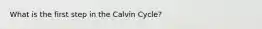 What is the first step in the Calvin Cycle?