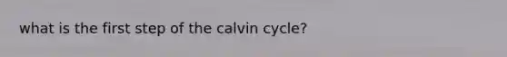 what is the first step of the calvin cycle?