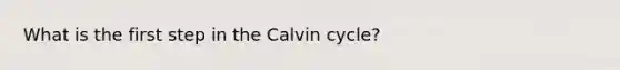 What is the first step in the Calvin cycle?