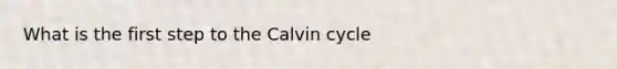 What is the first step to the Calvin cycle