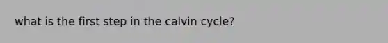 what is the first step in the calvin cycle?