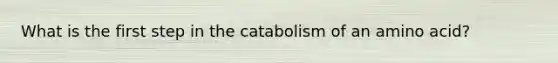 What is the first step in the catabolism of an amino acid?