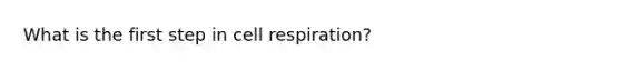 What is the first step in cell respiration?