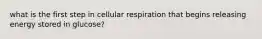 what is the first step in cellular respiration that begins releasing energy stored in glucose?