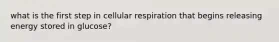 what is the first step in <a href='https://www.questionai.com/knowledge/k1IqNYBAJw-cellular-respiration' class='anchor-knowledge'>cellular respiration</a> that begins releasing energy stored in glucose?