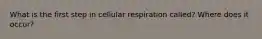 What is the first step in cellular respiration called? Where does it occur?