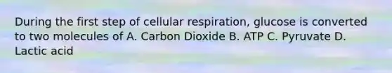 During the first step of cellular respiration, glucose is converted to two molecules of A. Carbon Dioxide B. ATP C. Pyruvate D. Lactic acid