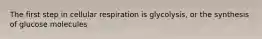 The first step in cellular respiration is glycolysis, or the synthesis of glucose molecules