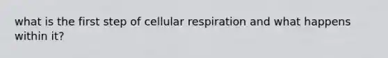 what is the first step of cellular respiration and what happens within it?