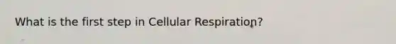 What is the first step in Cellular Respiration?